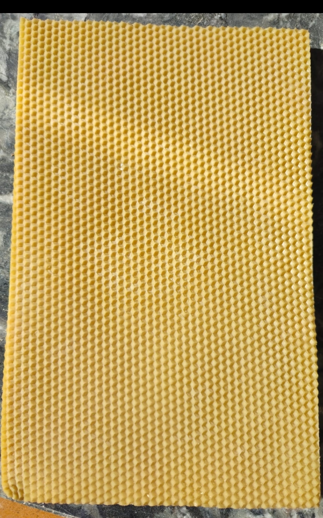 wax foundation sheets cerana
